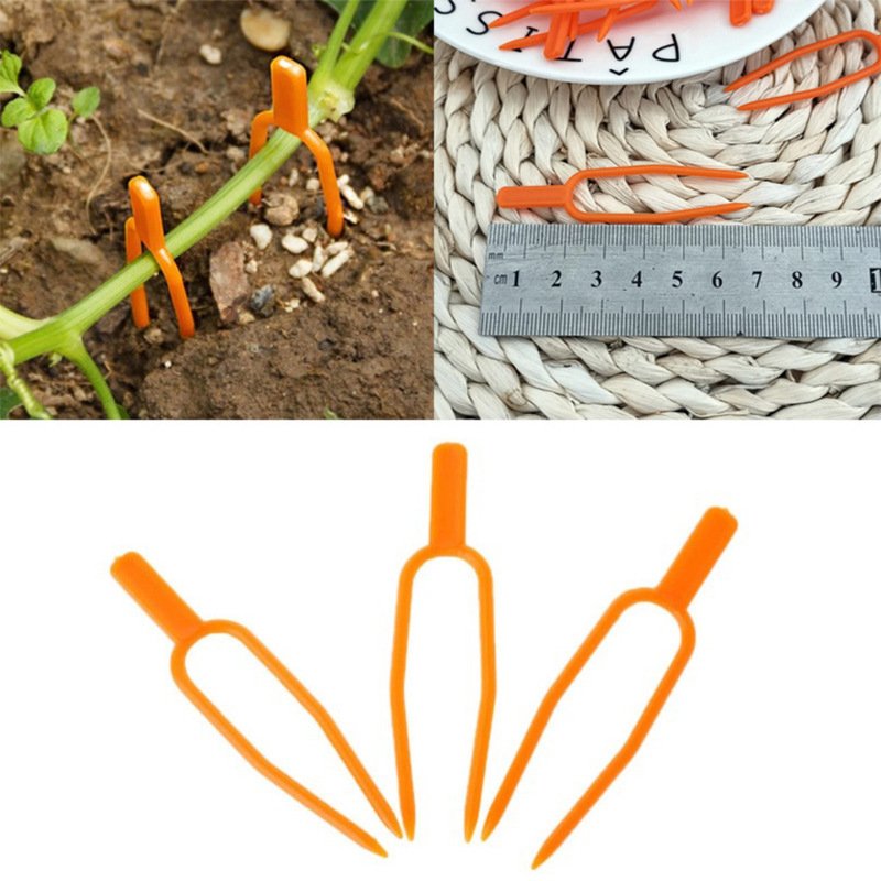 Plastic Support Clips for Garden Plants – Ideal for Optimal Plant Stability