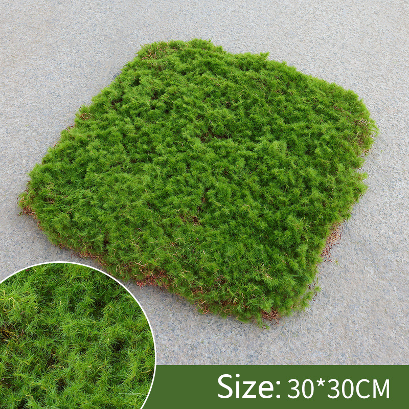 Moss Cover Piece – Moss Flake Ornament for Decorative Landscaping and Garden Decoration