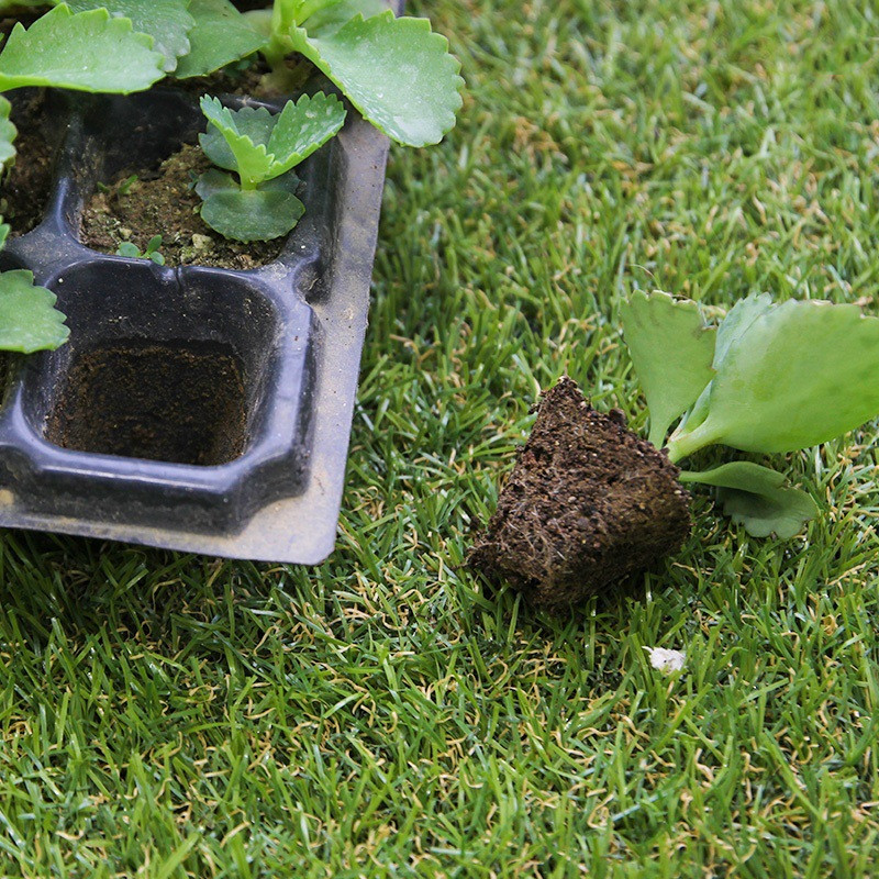 Rectangular Seedling Tray – Plant Tray for Efficient Germination and Growth of Seedlings