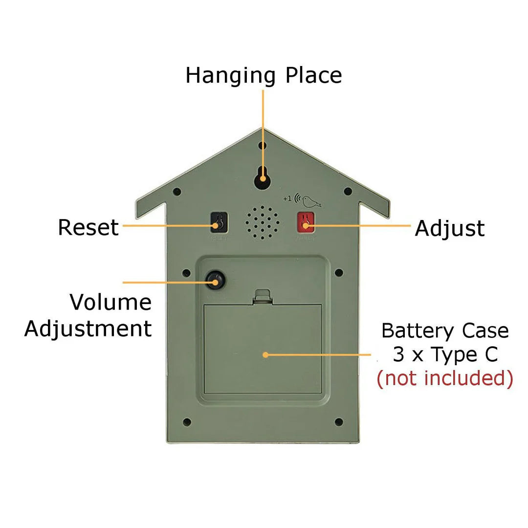 Modern Cuckoo Clock for Home