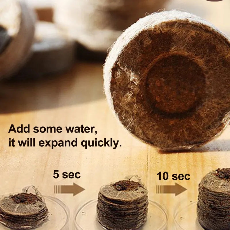 Coconut Fiber Peat Germination Pellets – Seed Planting Starter for Optimal Germination