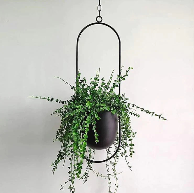 Elegant Hanging Plant Holder for Indoors and Outdoors – With Modern Design