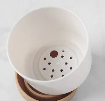 Self-Watering Orchid Planter Pot – Plastic Flower Pot with Watering System for Plant Care