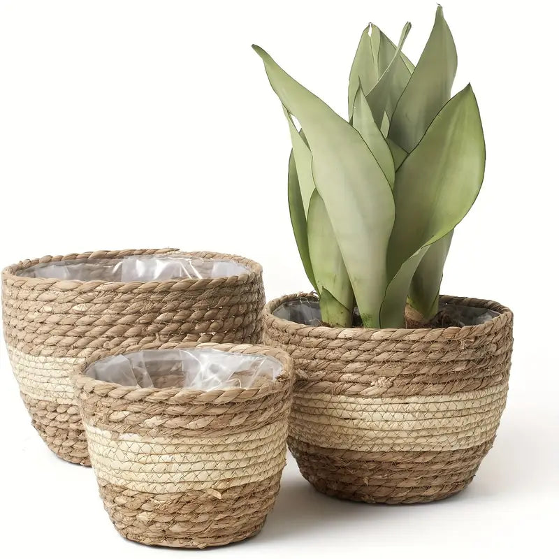 Decorative Seagrass Plant Baskets – 3-Piece Set of Handwoven Planters with Plastic Liner for Home and Garden