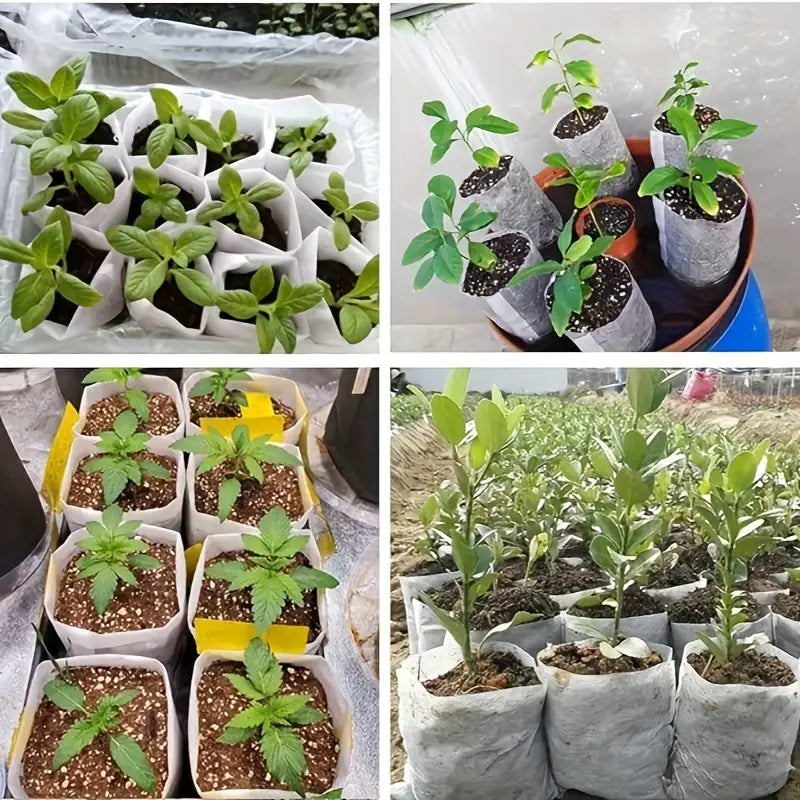 Non-Woven Fabric Planting Bags – Compostable Seedling Grow Bags for Plants