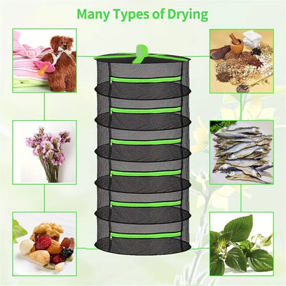Foldable Drying Rack for Fruits, Vegetables, and Herbs – Multi-Tier Mesh Tray for Fast Drying