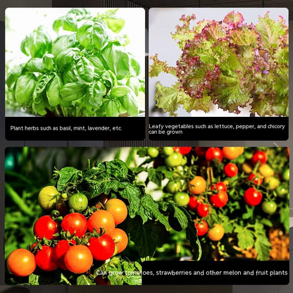 Smart Indoor Hydroponic Growing System – Soil-Free Plant Cultivation for Home and Apartment