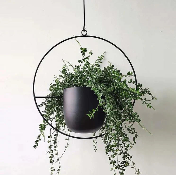 Elegant Hanging Plant Holder for Indoors and Outdoors – With Modern Design