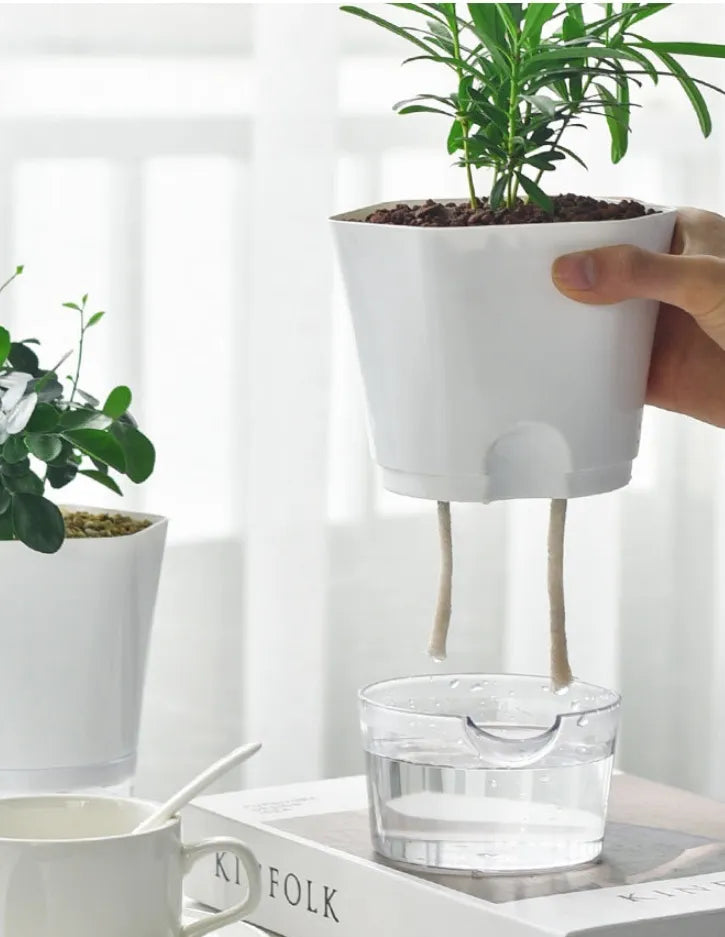 Self-Watering Plant Pot with Water Reservoir – Ideal for Indoor Plants and Easy Care