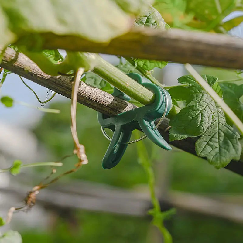 Garden Clip Set – Plant Loops for Supporting Plants and Garden Care