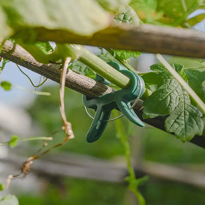 Garden Clip Set – Plant Loops for Supporting Plants and Garden Care