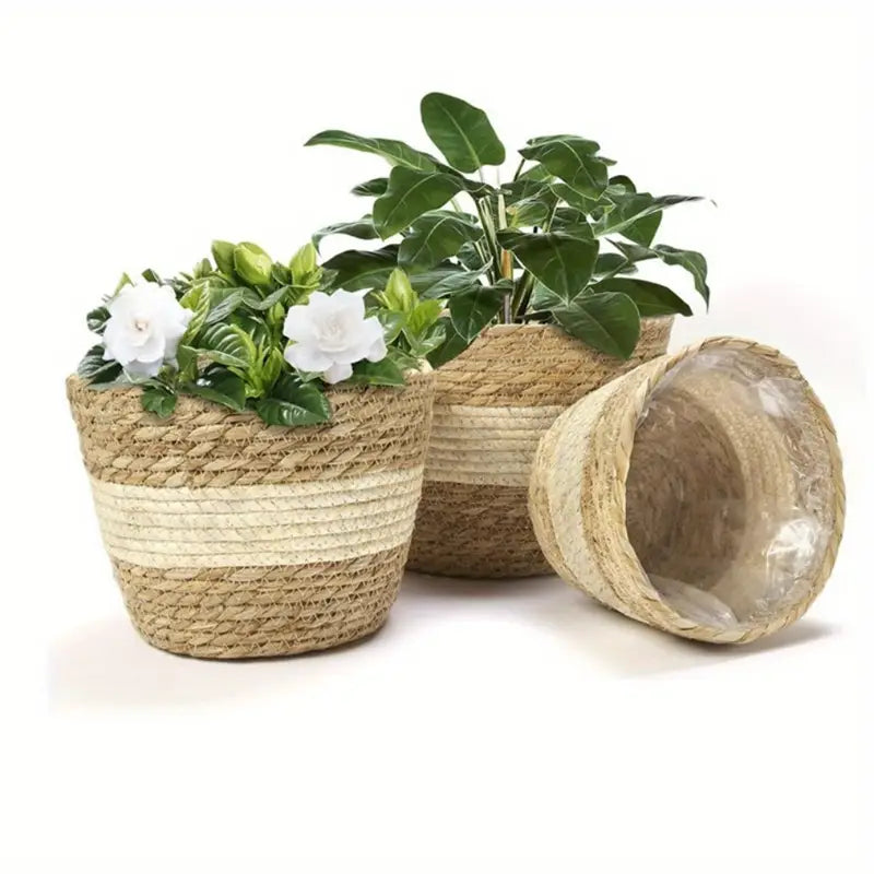 Decorative Seagrass Plant Baskets – 3-Piece Set of Handwoven Planters with Plastic Liner for Home and Garden