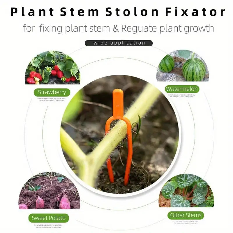 Plastic Support Clips for Garden Plants – Ideal for Optimal Plant Stability