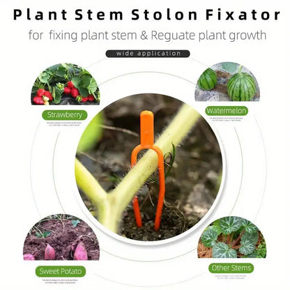 Plastic Support Clips for Garden Plants – Ideal for Optimal Plant Stability