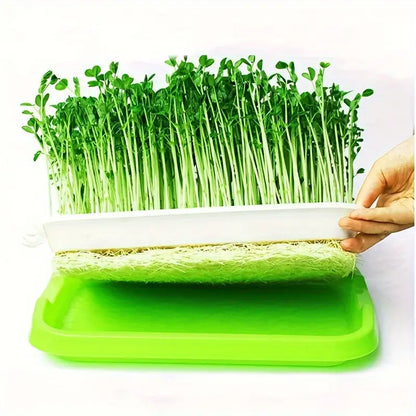 Double-Layer Seed Germination Trays with Lid – Efficient Seed Starting Tray for Optimal Seed Germination
