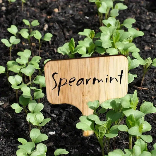 Reusable Wooden Plant Labels – Tags for Herbs and Plants in the Garden and on the Balcony