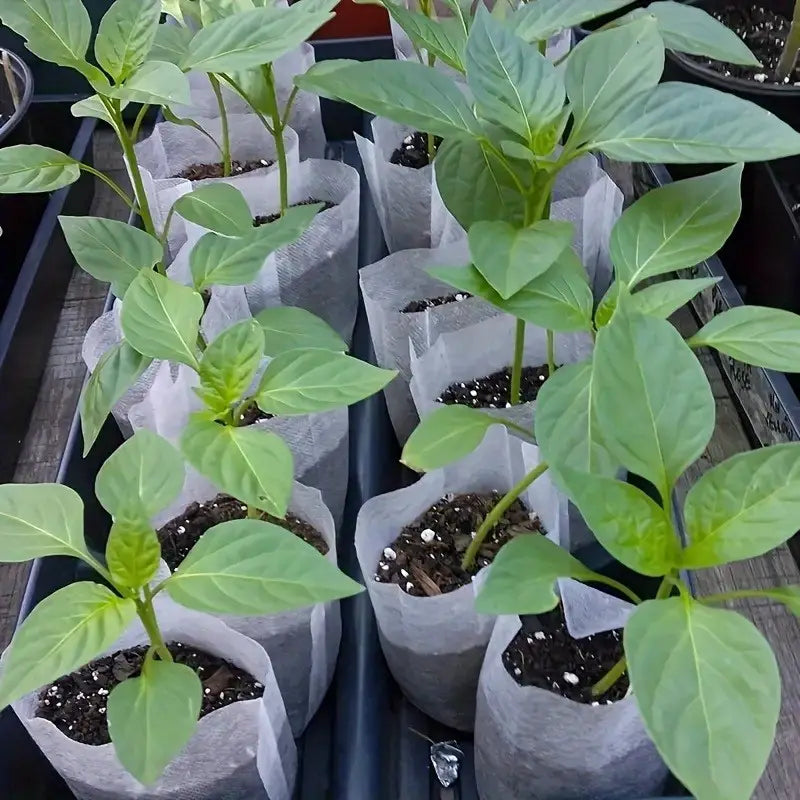 Non-Woven Fabric Planting Bags – Compostable Seedling Grow Bags for Plants