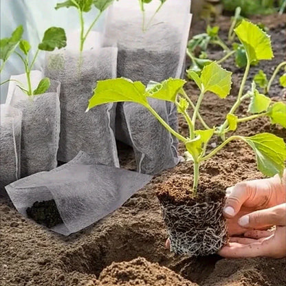 Non-Woven Fabric Planting Bags – Compostable Seedling Grow Bags for Plants