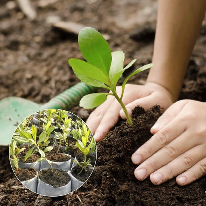 Non-Woven Fabric Planting Bags – Compostable Seedling Grow Bags for Plants