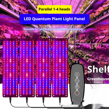 LED Quantum Plant Light Panel for Optimal Growth and Color Intensity – Adjustable Light Mode for Individual Plant Care