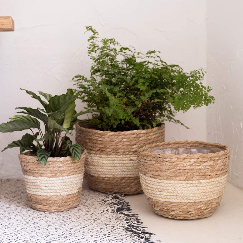 Decorative Seagrass Plant Baskets – 3-Piece Set of Handwoven Planters with Plastic Liner for Home and Garden