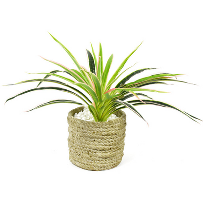 Artificial Grass Plant – Decorative Artificial Plant for Home and Office