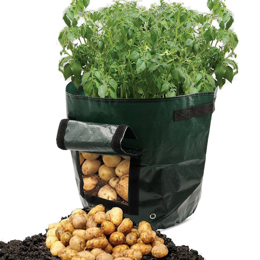 Potato Planting Bag – Reusable with Viewing Window for Easy Harvesting