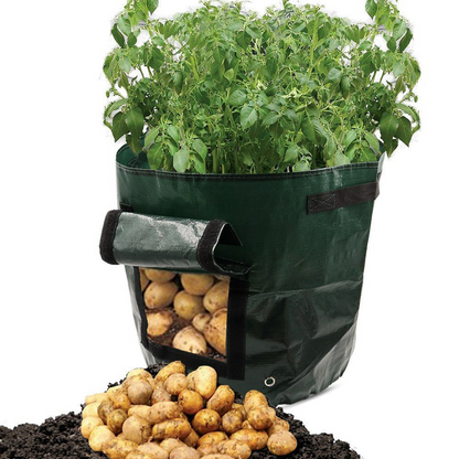 Potato Planting Bag – Reusable with Viewing Window for Easy Harvesting