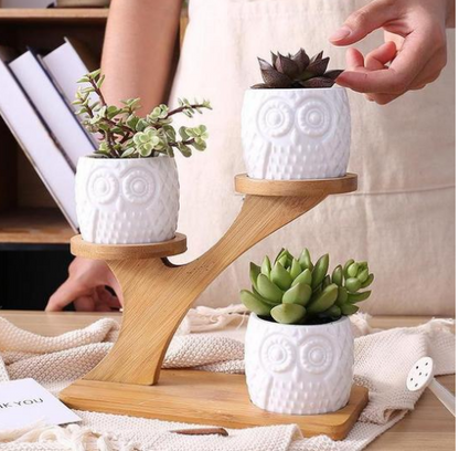 Decorative wooden owl plant stand – planter for succulents and indoor plants