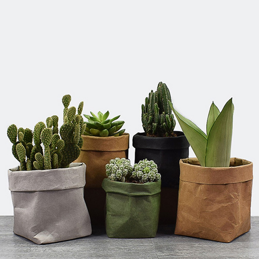 Stylish Paper Plant Pots – Modern Decorative Vases for Plants and Floral Arrangements