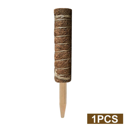 Coconut Moss Support Pole for Climbing Plants – Natural Support for Indoor and Garden Plants