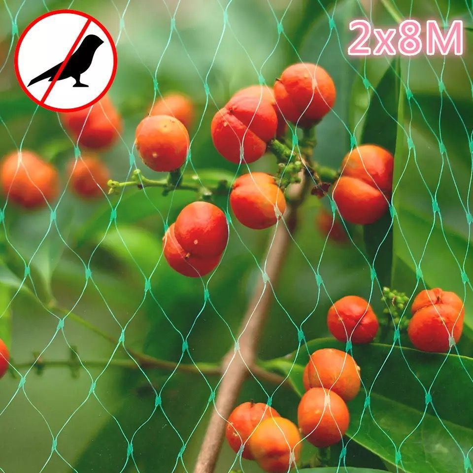 Protective Net for Garden Plants – Green Net for Protection Against Pests and Animals