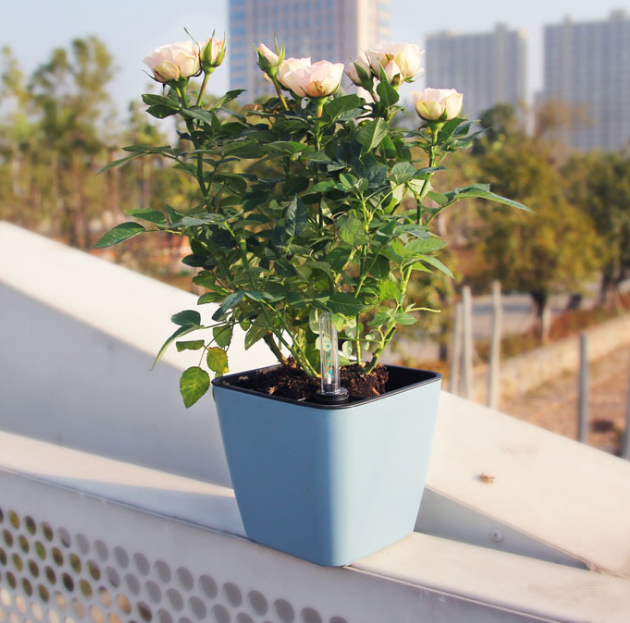 Self-watering Flower Pot – Plant Pot With Watering System For Indoor and Outdoor Use