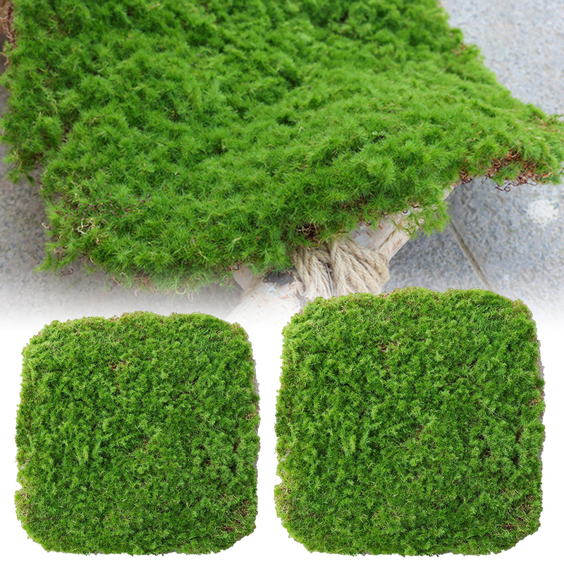 Moss Cover Piece – Moss Flake Ornament for Decorative Landscaping and Garden Decoration