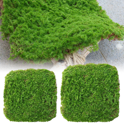 Moss Cover Piece – Moss Flake Ornament for Decorative Landscaping and Garden Decoration