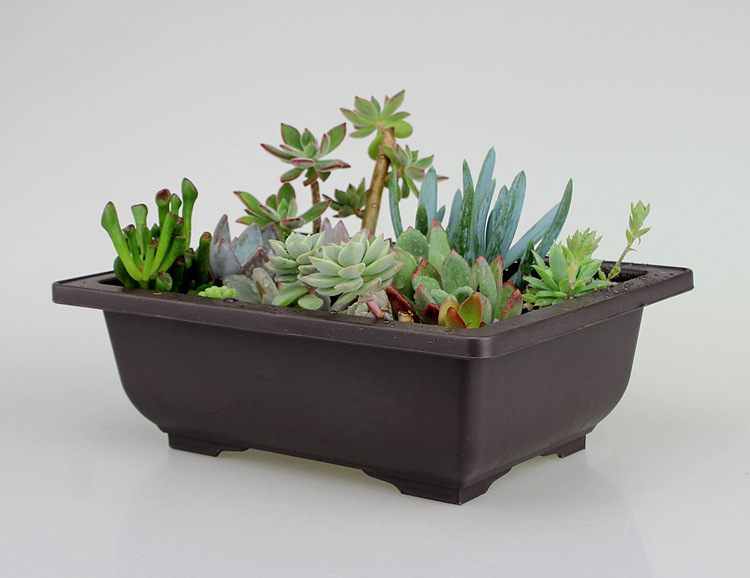 Rectangular Planter with Saucer – Ideal for Garden and Balcony