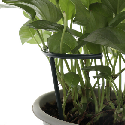 Sturdy Plant Climbing Support – Cage-Design Holder for Growth and Stability
