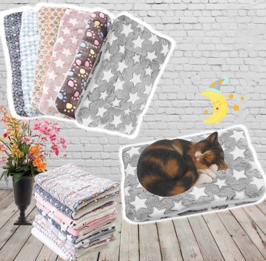 Cozy Cat Heating Cushion – Heated Pet Pillow for Warmth & Comfort