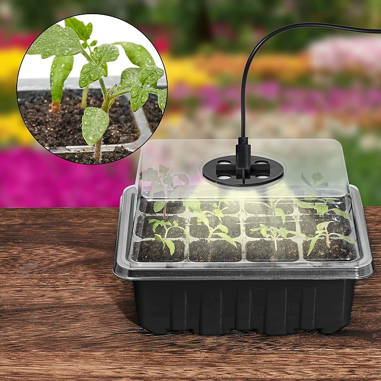 Complete Seed Starter Kit with LED Light – Perfect for Successful Plant Growth and Germination