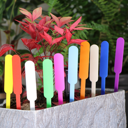 Weatherproof Colorful Plastic Plant Labels – Rewritable Markers for Garden Plants