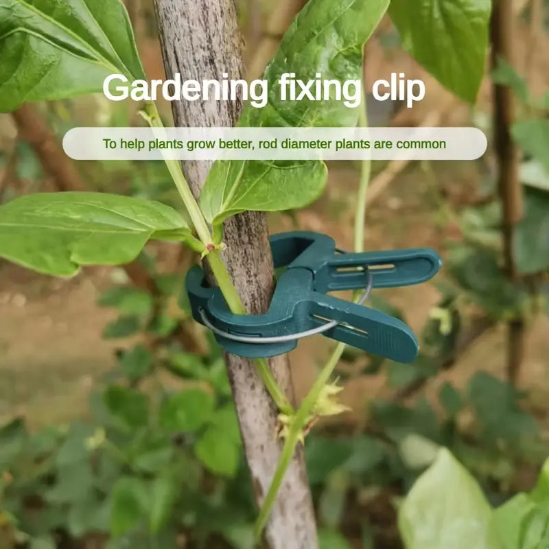 Garden Clip Set – Plant Loops for Supporting Plants and Garden Care