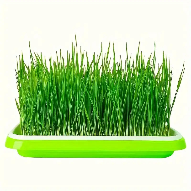 Double-Layer Seed Germination Trays with Lid – Efficient Seed Starting Tray for Optimal Seed Germination