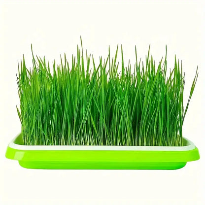 Double-Layer Seed Germination Trays with Lid – Efficient Seed Starting Tray for Optimal Seed Germination