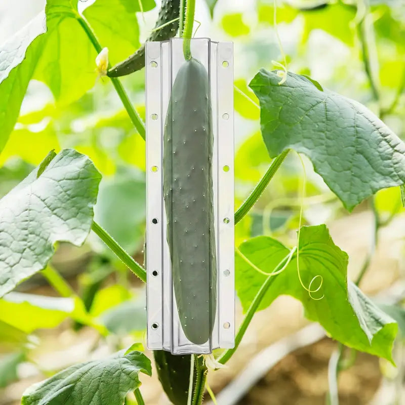 Star-Shaped Vegetable Mold for Cucumbers – Creative Shaping Mold for Fruits and Vegetables in the Garden