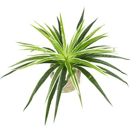 Artificial Grass Plant – Decorative Artificial Plant for Home and Office