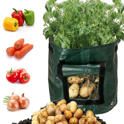 Potato Planting Bag – Reusable with Viewing Window for Easy Harvesting