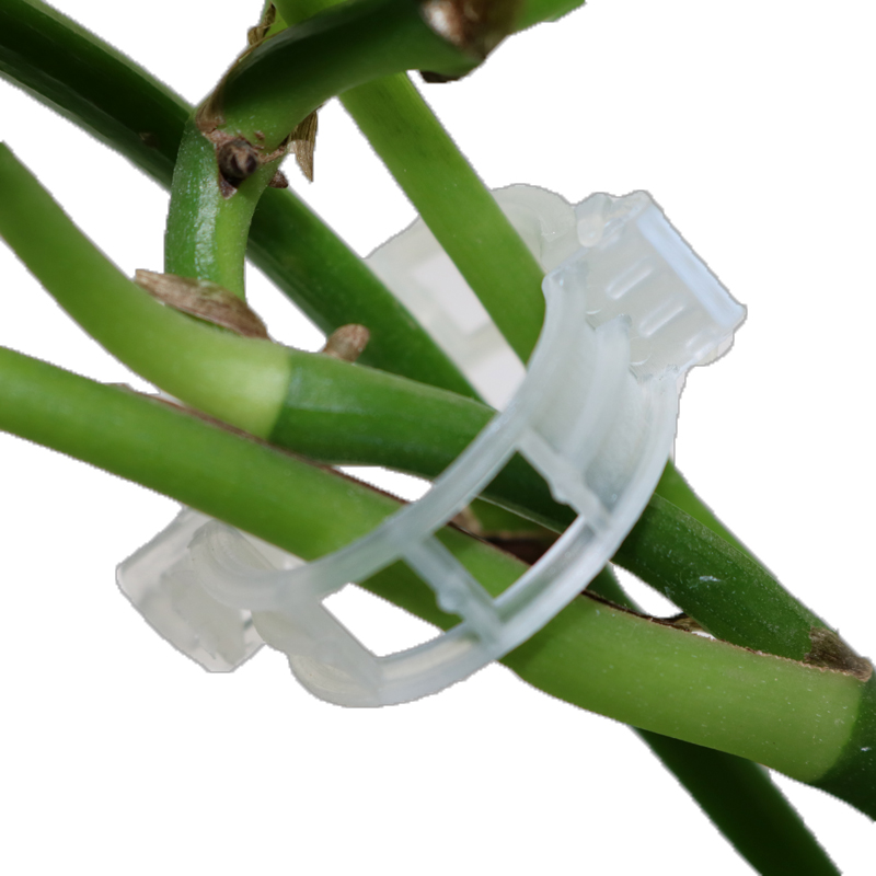 Flexible Plant Support Clip for Climbing Plants – Holder for Stems and Vines