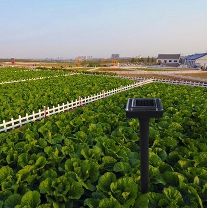 Solar-Powered Ultrasonic Snake and Pest Repeller – Effective Device for the Garden