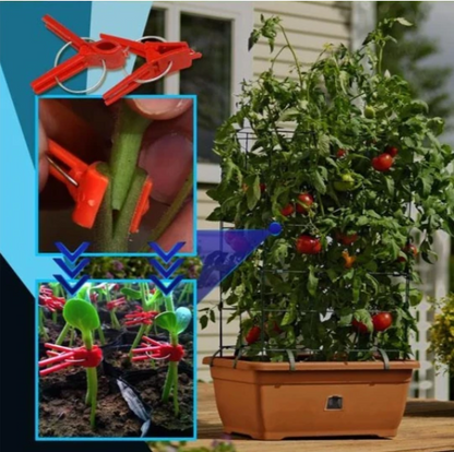 Plastic Grafting Clips for Garden Plants – Perfect for Vegetable and Plant Care