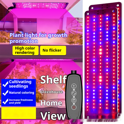 LED Quantum Plant Light Panel for Optimal Growth and Color Intensity – Adjustable Light Mode for Individual Plant Care